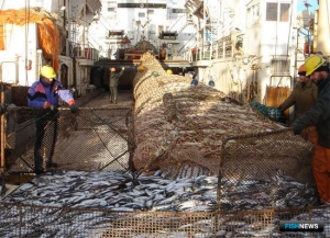 Исторический принцип гарантируют только на три года