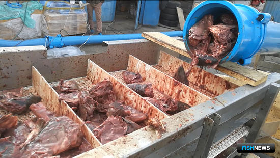 Транспортировка рыбных отходов: расстояние не помеха