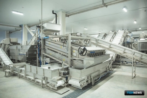 Камчатка укрепляет позиции в рыбопереработке