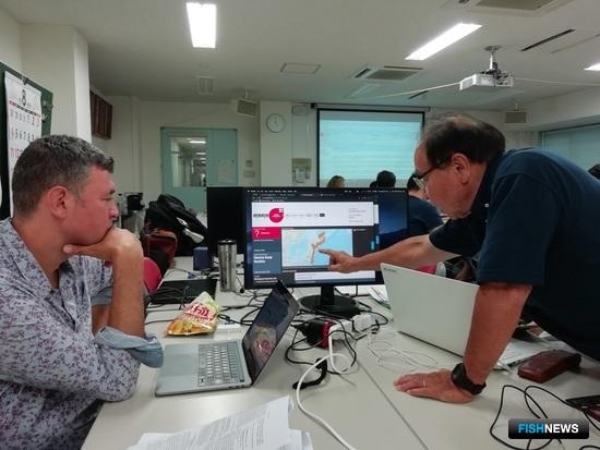 Ученые обновили &laquo;охранные списки&raquo; акул и скатов