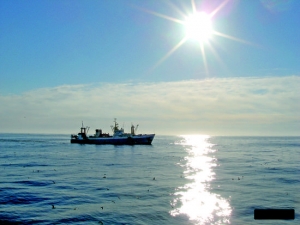 Российский флот нарастил вылов в &laquo;ничьих&raquo; водах