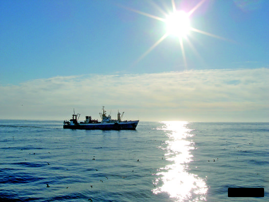 Российский флот нарастил вылов в &laquo;ничьих&raquo; водах