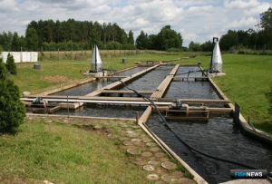 Хозяйство Нацрыбресурса пополнил рыбопитомник