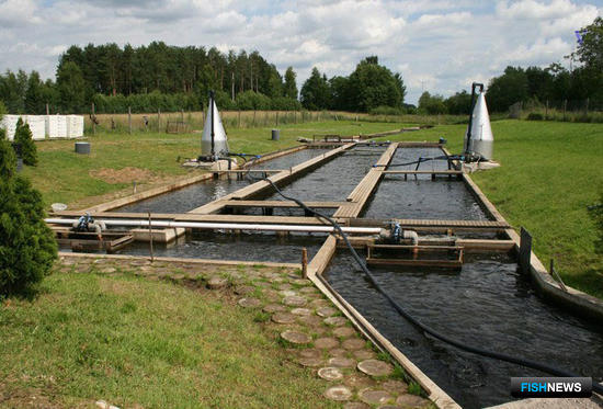 Хозяйство Нацрыбресурса пополнил рыбопитомник Хозяйство Нацрыбресурса пополнил рыбопитомник