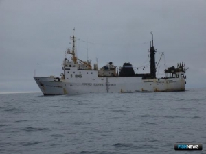 Лососевую молодь на морском нагуле посчитают ученые