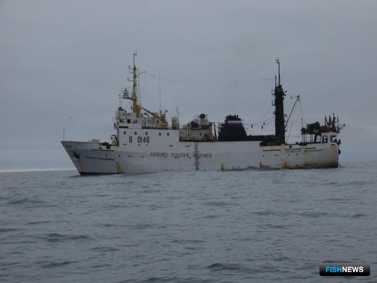 Лососевую молодь на морском нагуле посчитают ученые Лососевую молодь на морском нагуле посчитают ученые