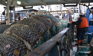 Ведомства разрабатывают предложения по налогам