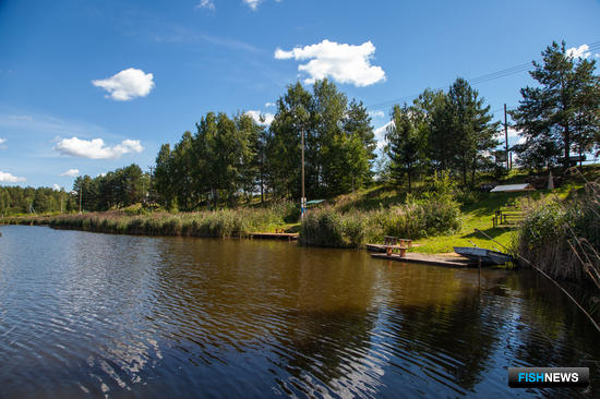 Аквакультура на шаг приблизилась к земле