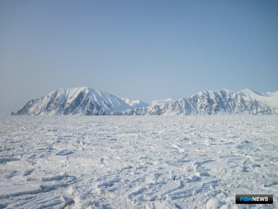 В ООН бьют тревогу из-за глобального потепления