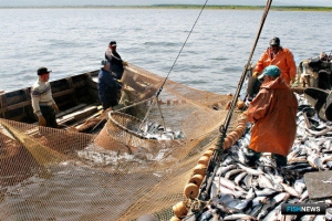 Росрыболовство ответило на вопросы по участкам