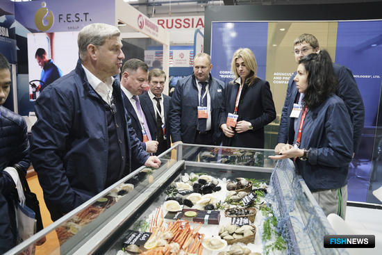 Российский стенд в Циндао удивит новинками Российский стенд в Циндао удивит новинками