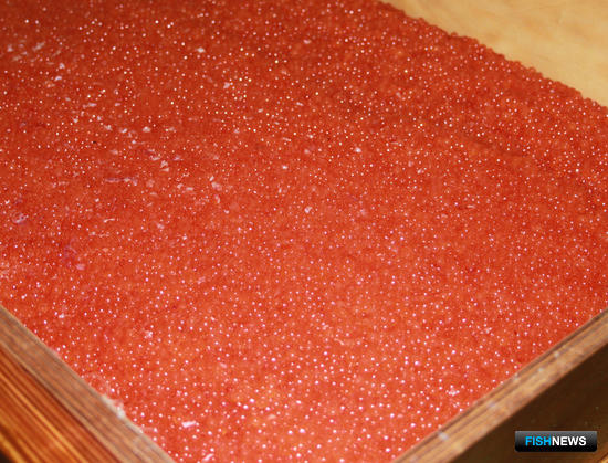 Икорные рейды в Эвенске принесли богатый «улов» Икорные рейды в Эвенске принесли богатый «улов»