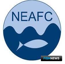 Россия сверила часы с коллегами по НЕАФК