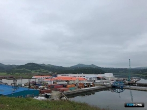 Ученые выйдут на поиски скумбрии