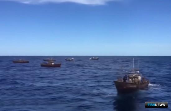 Пограничники сообщили о задержаниях браконьеров из Северной Кореи Пограничники сообщили о задержаниях браконьеров из Северной Кореи