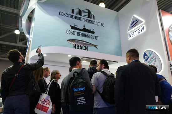 Иваси от &laquo;Антея&raquo; продолжает покорять выставки