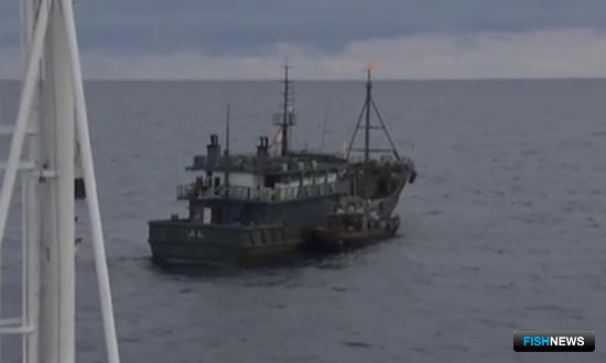 Кремль не собирается ссориться с КНДР из-за браконьеров