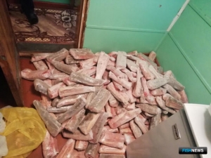 Капитан взял на борт буксира осетровых &laquo;зайцев&raquo;