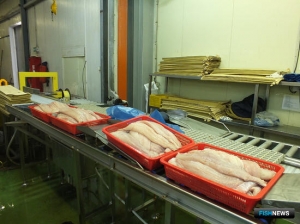 Рыба прибавила очков на внешних рынках