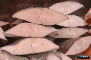 Росрыболовство приглашает за инвестквотами на разнорыбицу