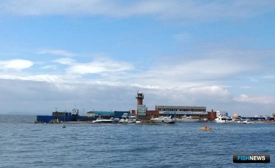 Требования к морским стоянкам хотят унифицировать