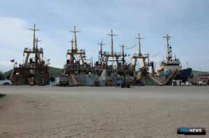 Закон о налоговом вычете для рыболовства вышел в Приморье