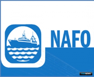 Россия назначила представителя в Комиссии НАФО