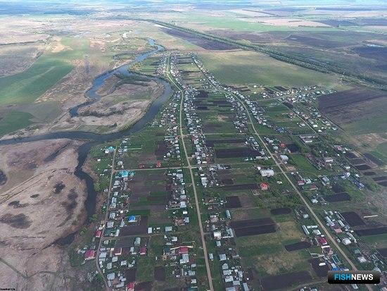 Ферму по выращиванию раков планируют открыть в Приволжье