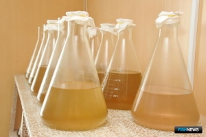 Морской биомедицине Дальнего Востока прочат большое будущее