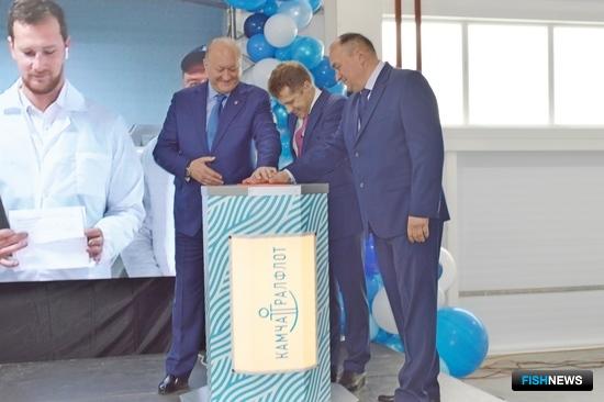 Новый завод пополнил «инвестиционную копилку» Камчатки Новый завод пополнил «инвестиционную копилку» Камчатки