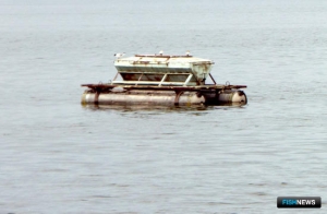 Под аквафермы предлагают 43 участка в Западной Сибири