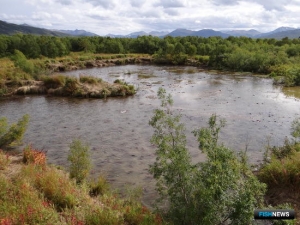 Главрыбвод доволен заполнением нерестилищ на Начикинском озере