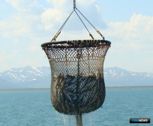 Российские предприятия добыли около 4 млн тонн