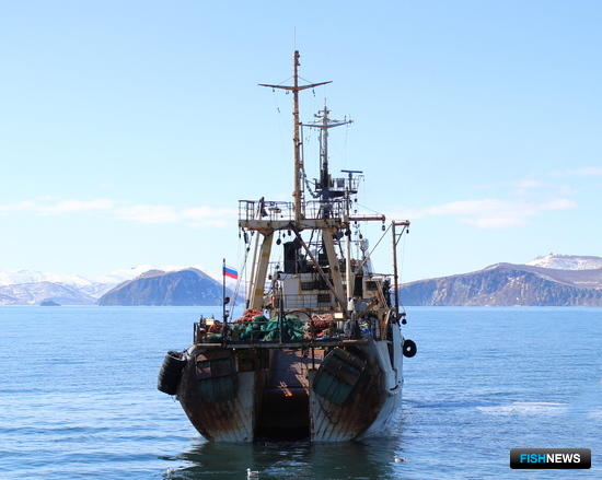 Плановым проверкам рыбаков готовят альтернативу