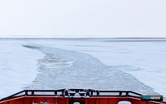 Минсельхоз хочет обновить правила рыболовства для Севера