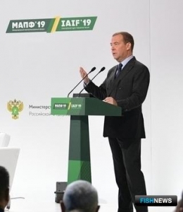 Руководство страны вновь отметило успехи рыбного экспорта