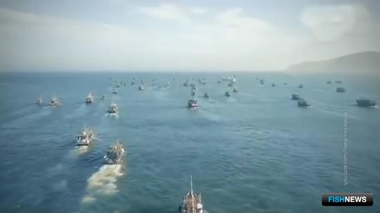 Почему государство не покончит с северокорейским браконьерством Почему государство не покончит с северокорейским браконьерством