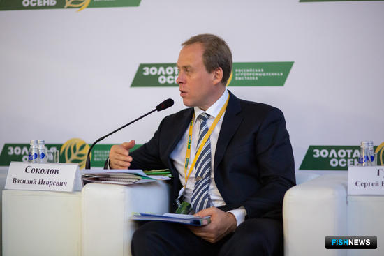 Зоология не во благо потребителя Зоология не во благо потребителя