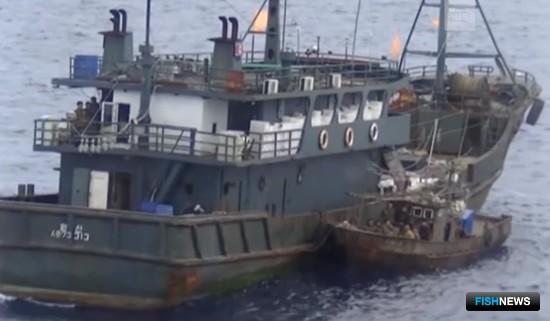 Почему государство не покончит с северокорейским браконьерством Почему государство не покончит с северокорейским браконьерством