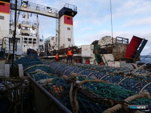 Конкурс для профессионалов рыбной отрасли стартовал на Камчатке