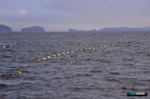 Марифермам Приморья возместят ущерб от тайфунов