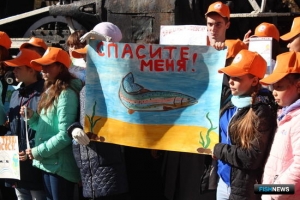 Марафон в защиту лосося завершили в Приморье