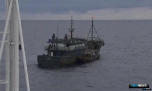 ФСБ сообщила о допмерах для охраны морских ресурсов