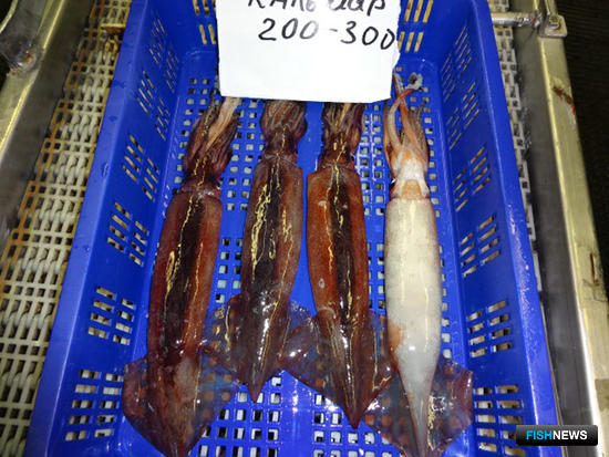 Кальмар потребовал международных консультаций