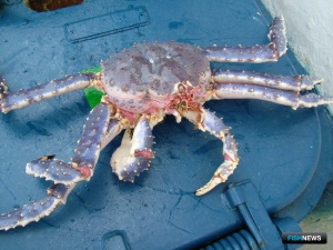 &laquo;Ростех&raquo; заявил о непричастности к &laquo;крабовым&raquo; проектам