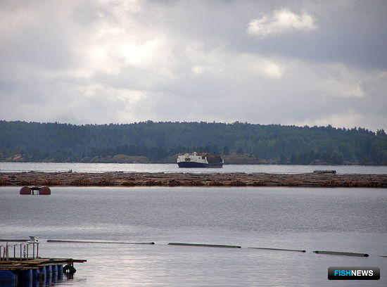 Для рыбоводов Карелии приготовили новые озера