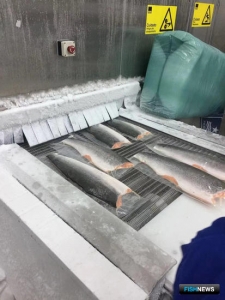 Чили готовится к &laquo;рыбной&raquo; проверке Россельхознадзора