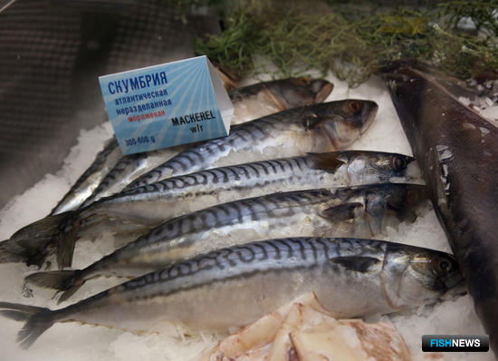 ЕС, Норвегия и Фареры решили наловить больше скумбрии