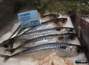 ЕС, Норвегия и Фареры решили наловить больше скумбрии