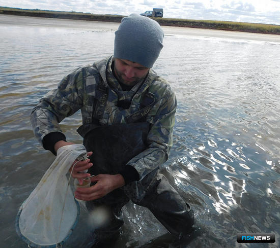 Госрыбцентр оценивает ресурсы озер за Уралом